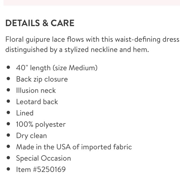 French Lace Fit & Flare Mini Dress - Picture 3 of 3